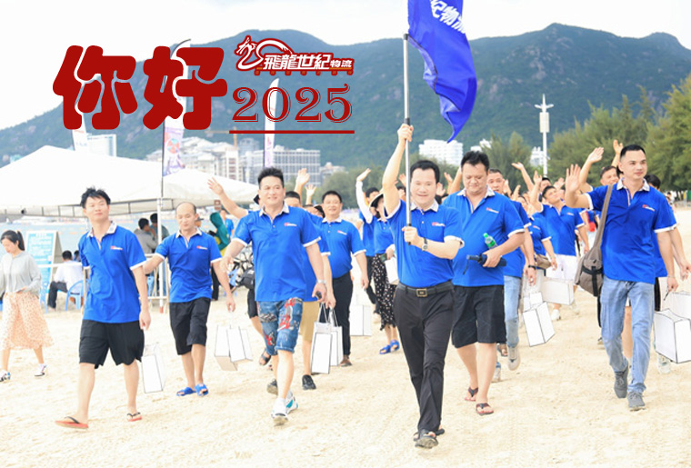 飛龍世紀(jì)物流